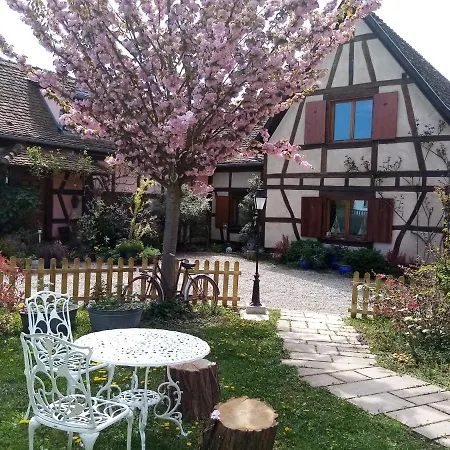 Bed and Breakfast Hissele Hilsenheim Exterior foto