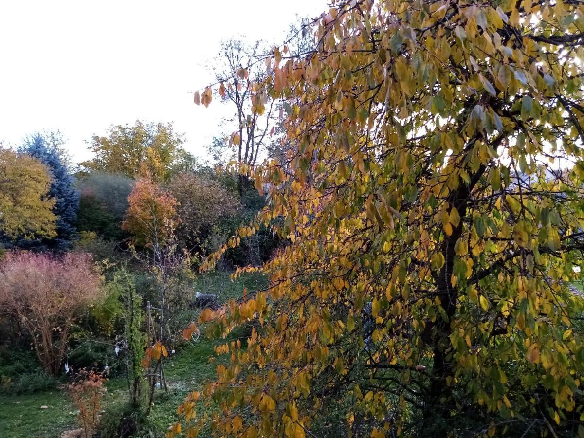 Hissele Bed and breakfast Hilsenheim